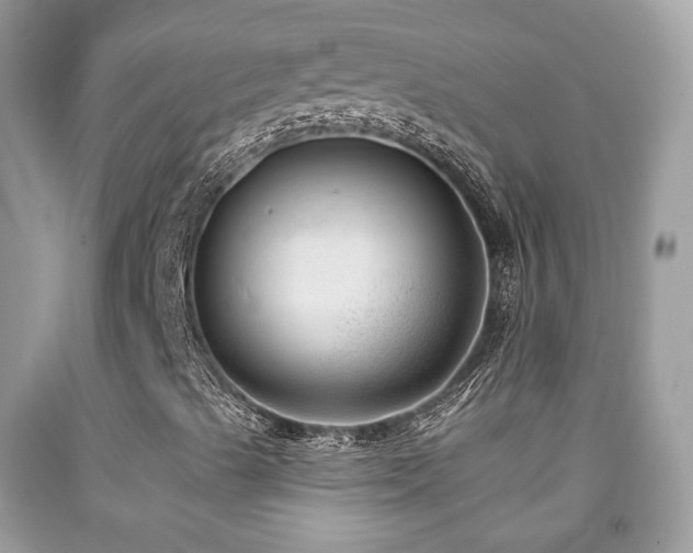 X0000091971489200709061319