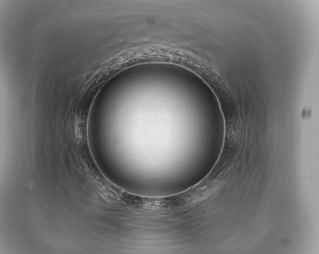 X0000091971490200709061319