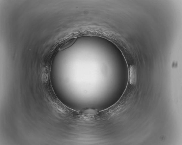 X0000091971491200709061319
