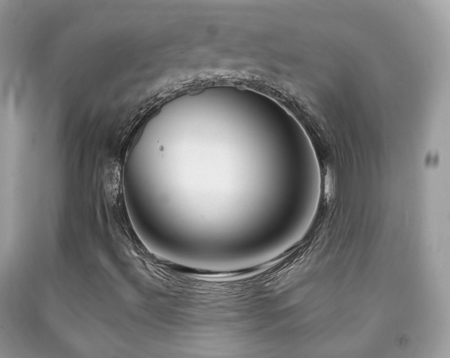 X0000091971492200709061319