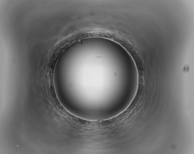 X0000091971493200709061319
