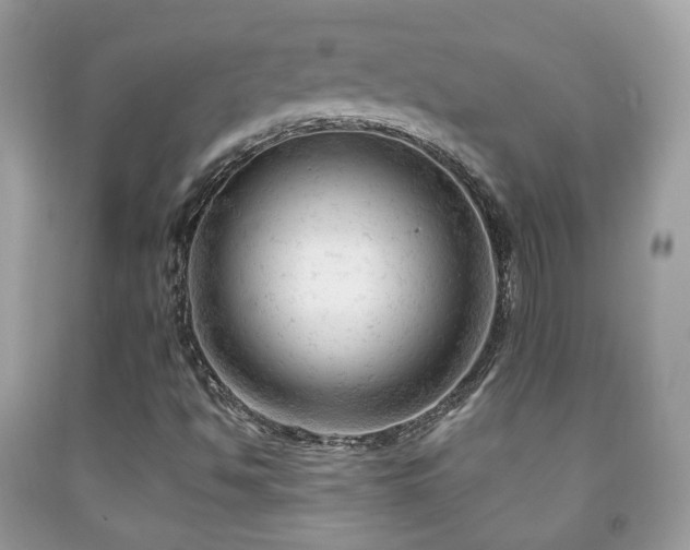 X0000091971494200709061319