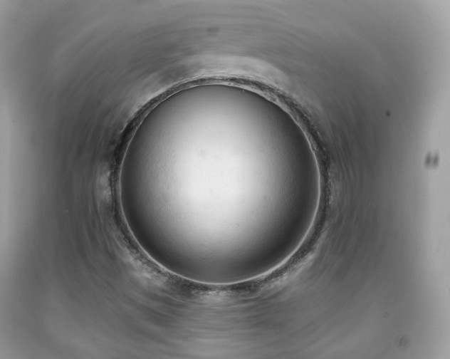 X0000091971497200709061320