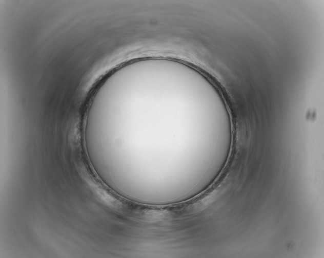 X0000091971498200709061320