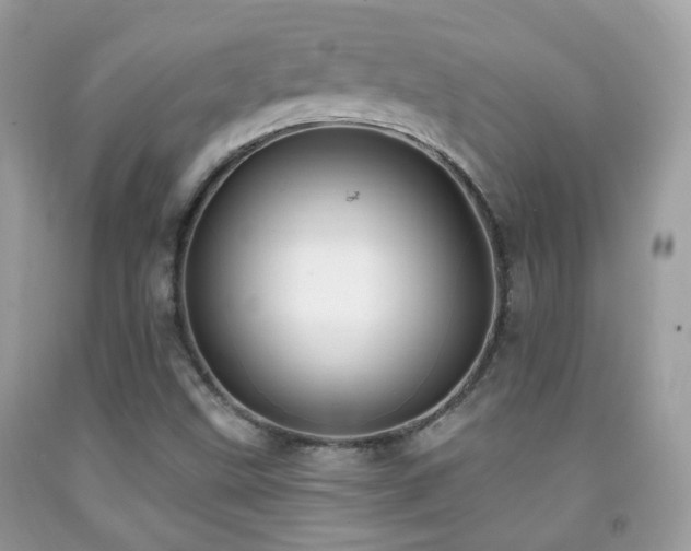 X0000091971499200709061320