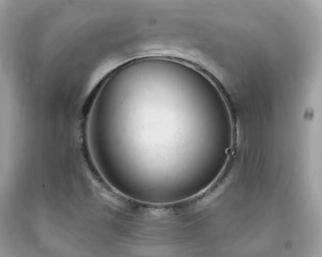 X0000091971501200709061320