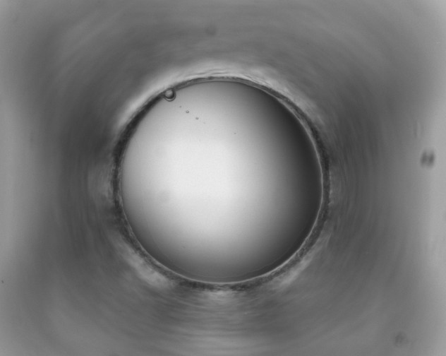 X0000091971502200709061320