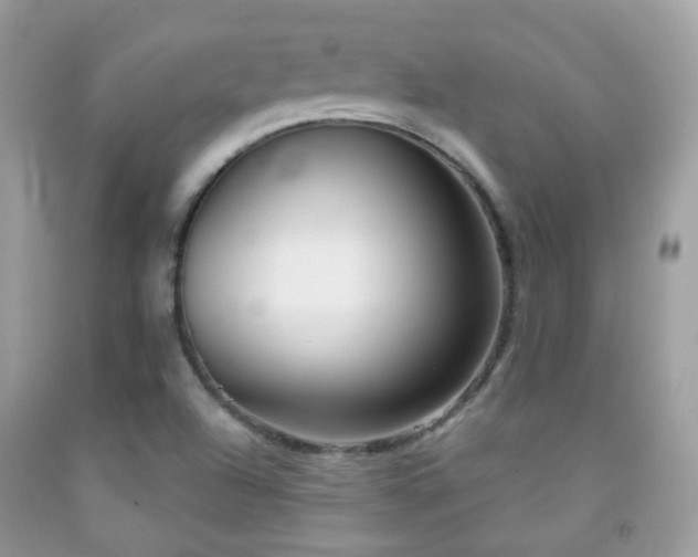 X0000091971504200709061320