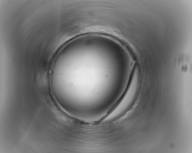 X0000091971505200709061320