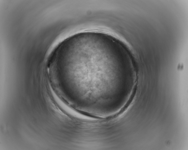 X0000091971506200709061320