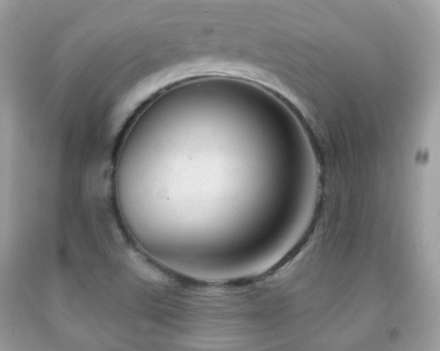X0000091971507200709061320