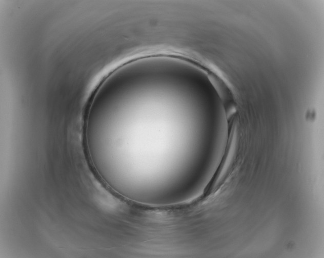 X0000091971508200709061320