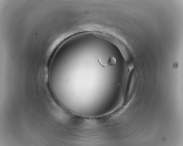 X0000091971509200709061320