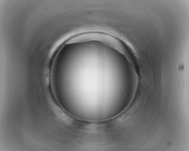 X0000091971510200709061320