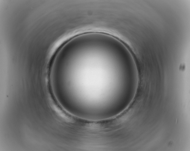 X0000091971511200709061320