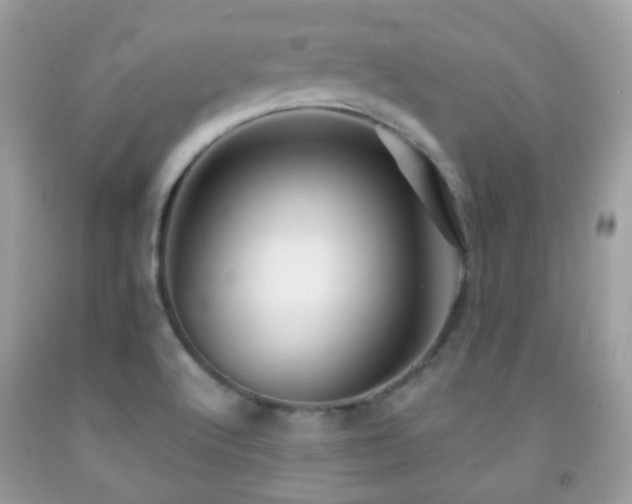 X0000091971512200709061320