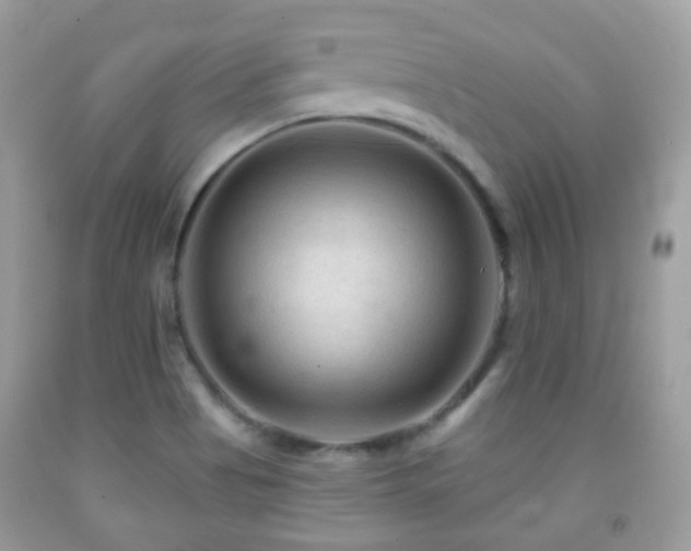 X0000091971513200709061320