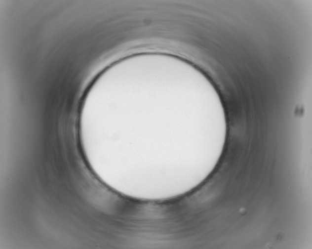 X0000091971514200709061320