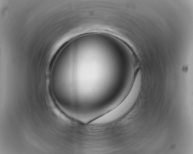 X0000091971515200709061320