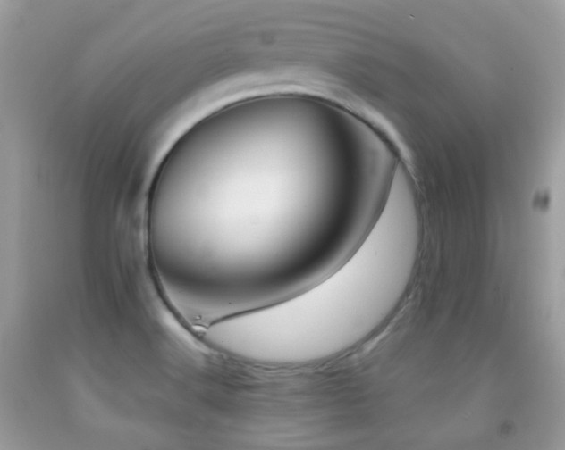X0000091971516200709061320