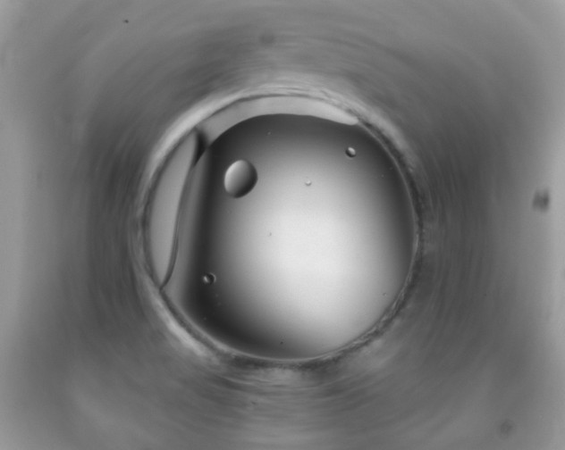 X0000091971517200709061320