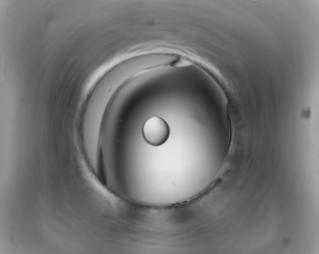 X0000091971518200709061320