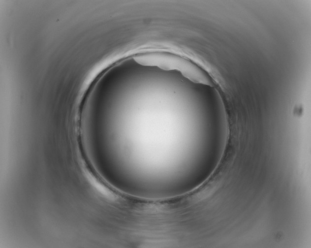 X0000091971519200709061320