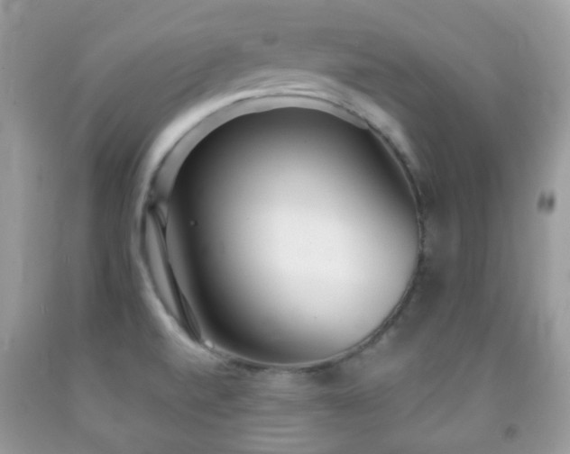 X0000091971520200709061320