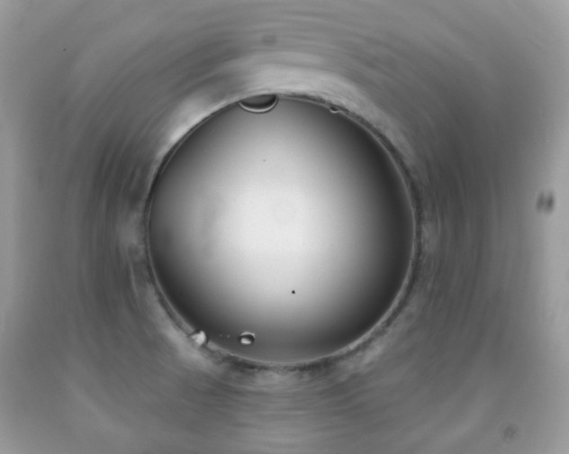 X0000091971521200709061320