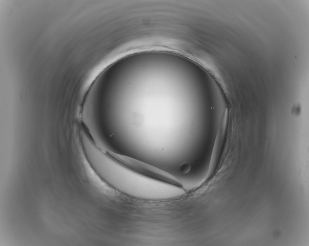 X0000091971524200709061320