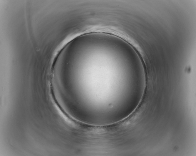 X0000091971525200709061320