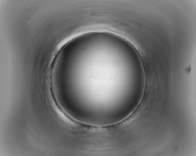 X0000091971526200709061320