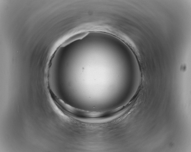 X0000091971528200709061320