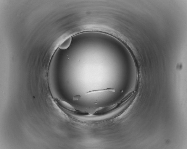 X0000091971529200709061320
