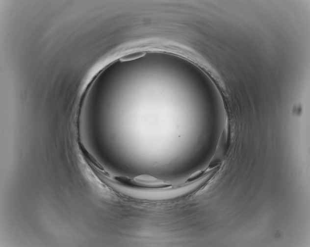 X0000091971530200709061320