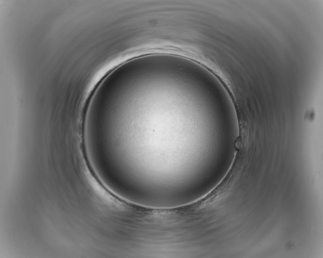 X0000091971531200709061320