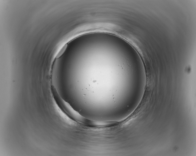 X0000091971532200709061320