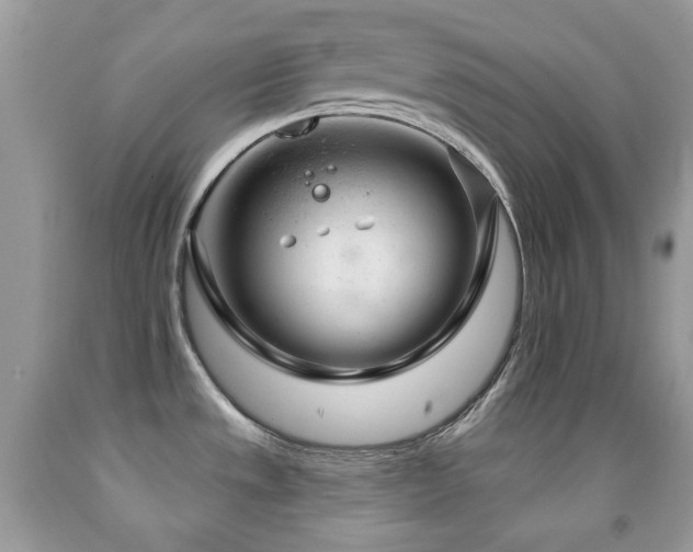 X0000091971533200709061320