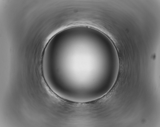 X0000091971534200709061320