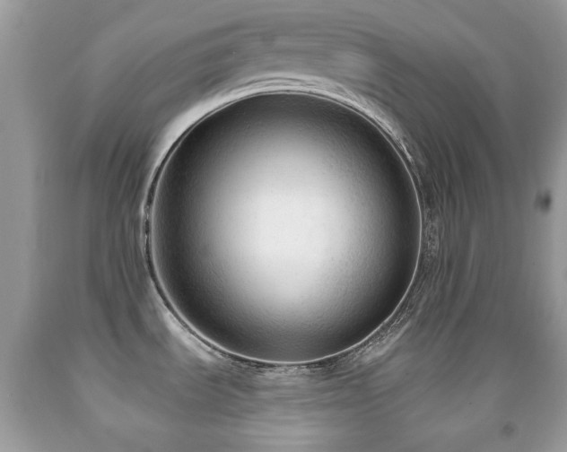 X0000091971535200709061320