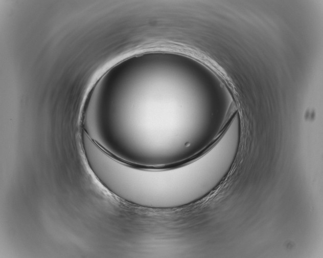 X0000091971536200709061320