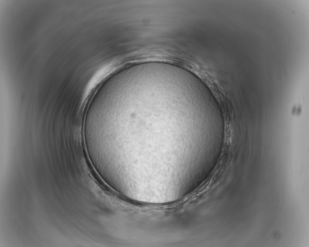 X0000091970004200709131348