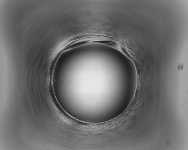 X0000091970005200709131348