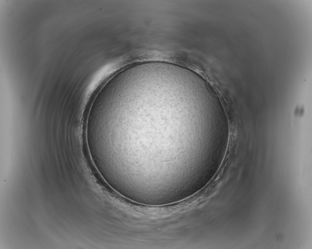 X0000091970006200709131348