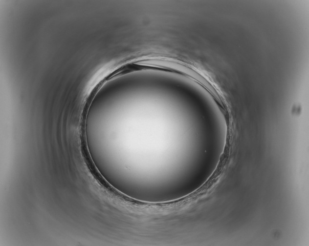 X0000091970007200709131348