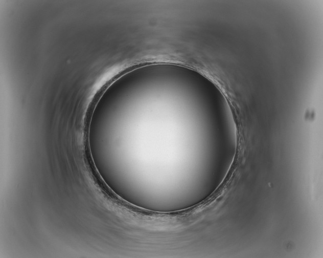 X0000091970008200709131348