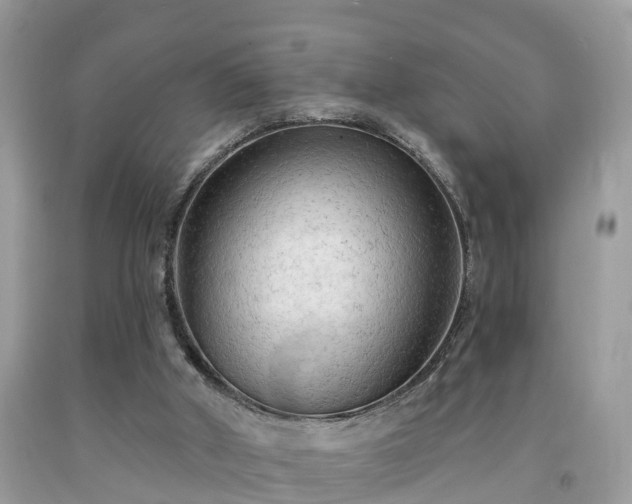 X0000091970010200709131348