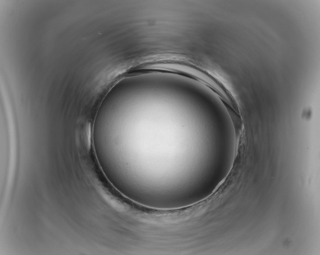 X0000091970013200709131348