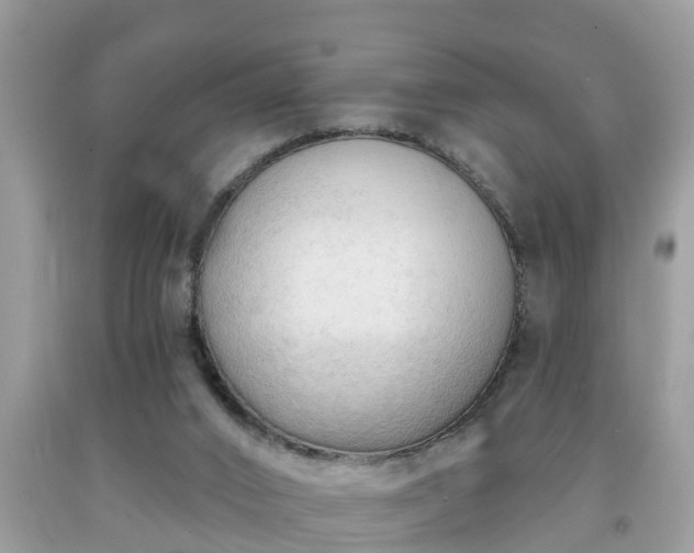 X0000091970016200709131348