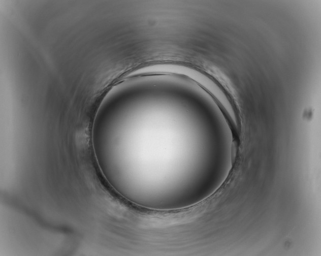 X0000091970017200709131348